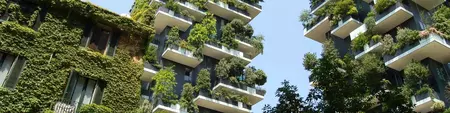 Sustainability article 2.jpg (1).jpg