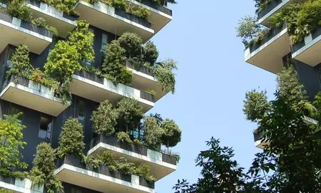 Sustainability_article_2_image.jpg